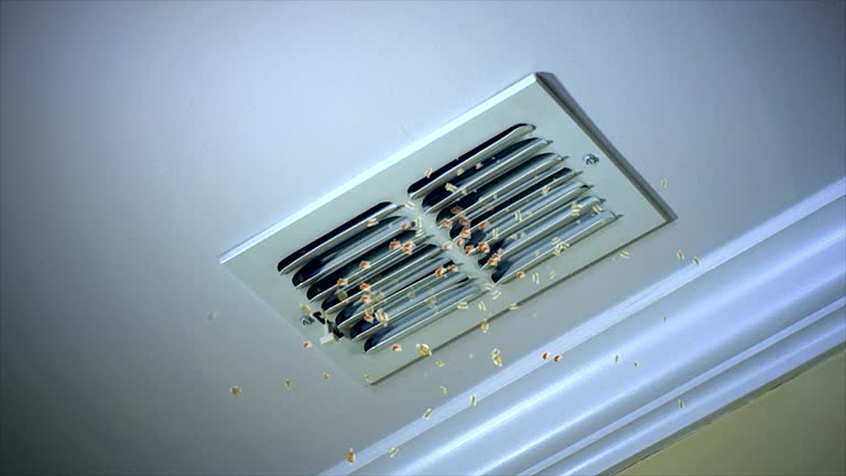 Best Air Duct Mold Removal  in Peachtree City, GA